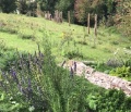 Naturgarten Weiherbaechli quer