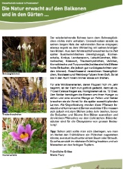 Bild FA 02 20 Naturseite