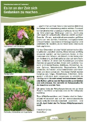 Bild FA 04 20 Naturseite