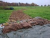 01 Hecke Weiherwegli