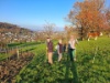 02 Hecke Weiherwegli