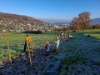 03 Hecke Weiherwegli