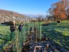 04 Hecke Weiherwegli