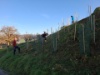 07 Hecke Weiherwegli