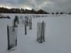 09 Hecke Weiherwegli