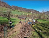 Lochmatt 19 3 2025 Grosse und kleine Helfer im Einsatz