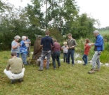 Pause auf der frisch gemähten Wiese