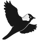 Ornithologische Gesellschaft Basel